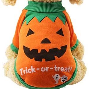 Pumpkin shirt costume pets ❤️